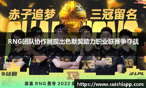 RNG团队协作展现出色默契助力职业联赛争夺战