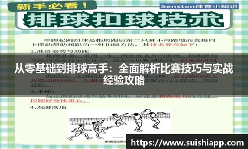 从零基础到排球高手：全面解析比赛技巧与实战经验攻略