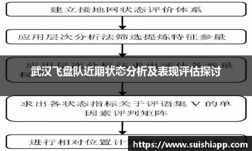 武汉飞盘队近期状态分析及表现评估探讨