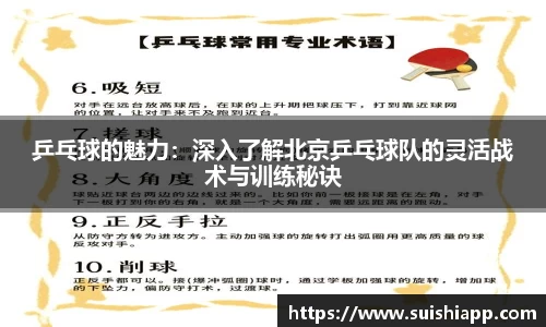 乒乓球的魅力：深入了解北京乒乓球队的灵活战术与训练秘诀